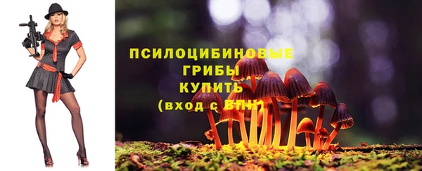 таблы Алексеевка