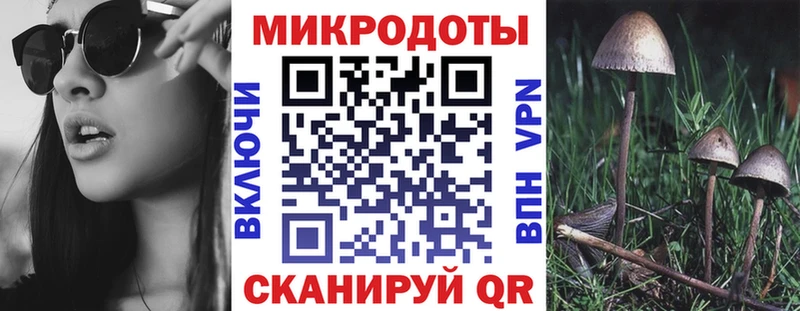 Псилоцибиновые грибы Psilocybe  наркота  Арамиль 